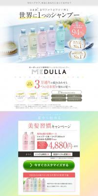 Personalized Shampoo with a Custom Feel: MEDULLA LP design (Skincare, Bodycare, Haircare / Multi-color type / Simple) PC version