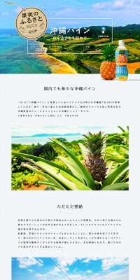 Vivit's Okinawa Pine Edition LP design (Beverages and Alcohol / Shades of blue / Refined style) PC version