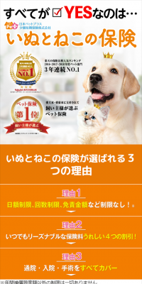 いぬとねこの保険のLPデザイン（サービス・保険・金融／オレンジ系／信頼・安心系）スマホ版