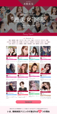 Shobijyo Zukan LP design (Internet service / Red tones / Refined style) PC version