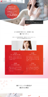Medical Laser Hair Removal LP design (Beauty services / Red tones / Refined style) PC version