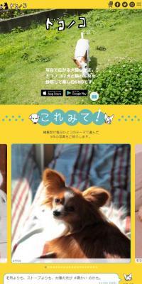 ドコノコのLPデザイン（インターネットサービス／イエロー系／かわいい系）スマホ版