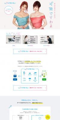 NP Kakebarai LP design (Insurance, Finance, Credit / White-based / Simple) PC version