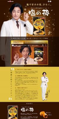 Flower of Salt LP design (Sweets and Snacks / Brown tones / Trust and Safety) PC version
