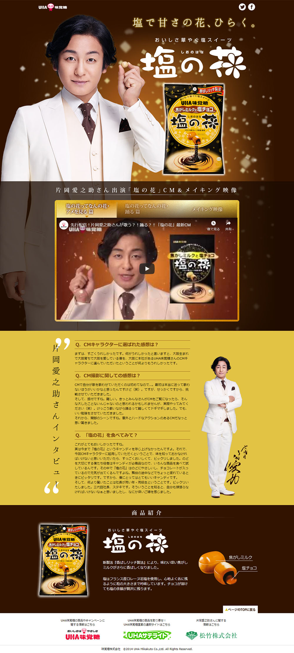 Flower of Salt LP design (Sweets and Snacks / Brown tones / Trust and Safety) PC version