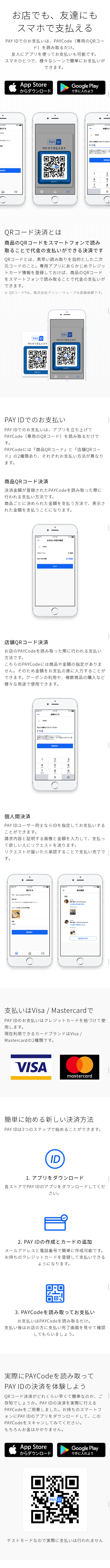 PAYID LP design (Internet service / White-based / Simple) Mobile version