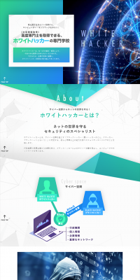 White Hat Hacker LP design (Learning Materials / Green tones / Cool style) PC version