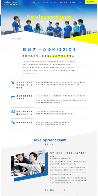 Engineer Recruitment Development Team LP design (recruitment / Shades of blue / Simple) PC version