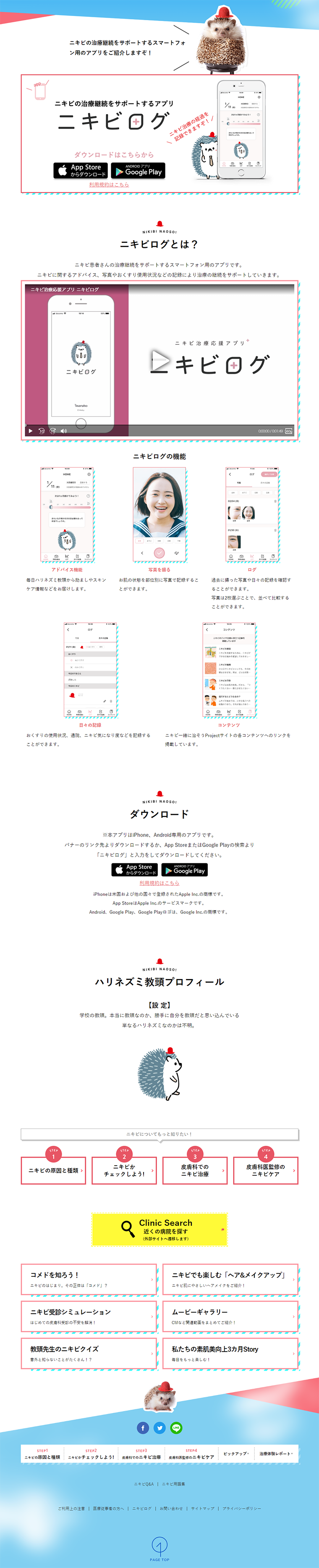 ニキビログのLPデザイン（インターネットサービス／ホワイト系／シンプル系）PC版