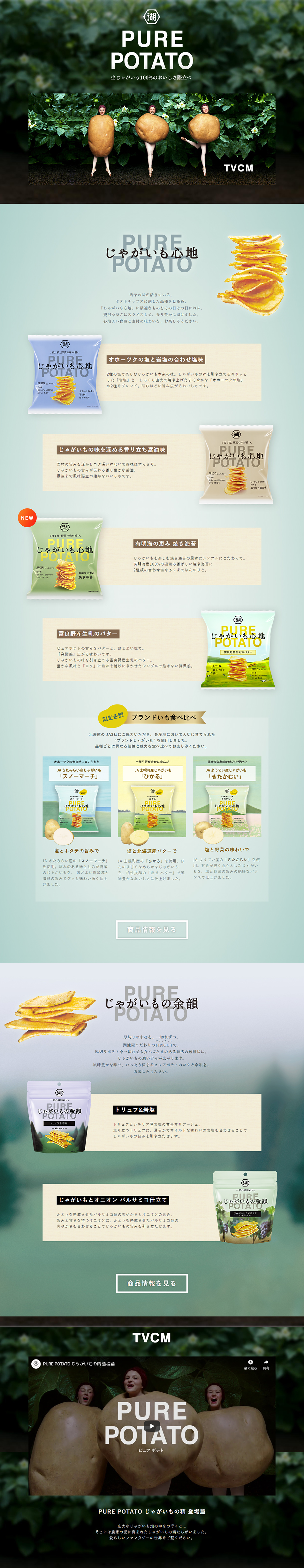 PUREPOTATO LP design (Sweets and Snacks / Green tones / Organic) PC version