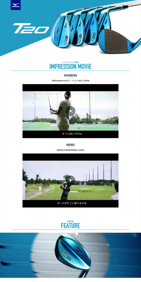 T20 Wedge LP design (sports / Shades of blue / Trust and Safety) PC version