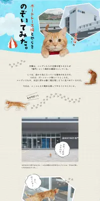 猫から目線でレース場紹介のLPデザイン（インターネットサービス／ベージュ系／かわいい系）PC版