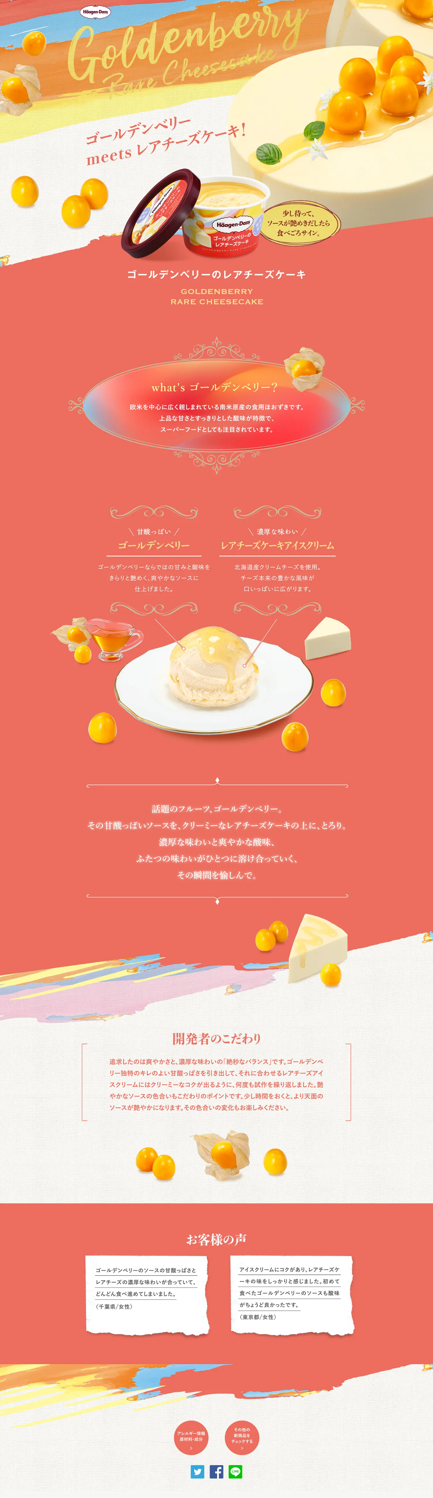 ゴールデンベリーレアチーズケーキのLPデザイン（洋菓子／オレンジ系／かわいい系）PC版