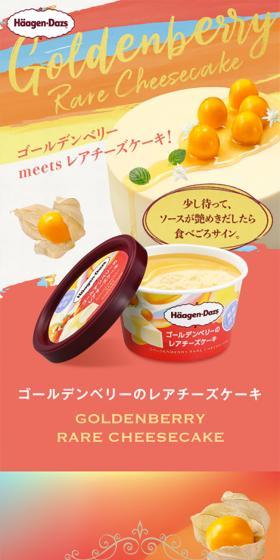 ゴールデンベリーレアチーズケーキのLPデザイン(洋菓子/オレンジ系/かわいい系)スマホ版