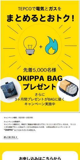 TEPCOで電気とガスをまとめるとおトク！のLPデザイン（サービス・保険・金融／イエロー系／シンプル系）スマホ版