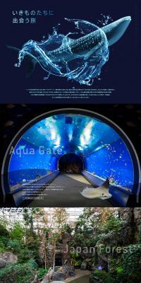 A Journey to Meet Creatures LP design (Travel & Outdoor / Shades of blue / Refined style) PC version