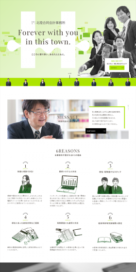 Accounting Firm LP design (Businesses, companies, stores / Green tones / Trust and Safety) PC version