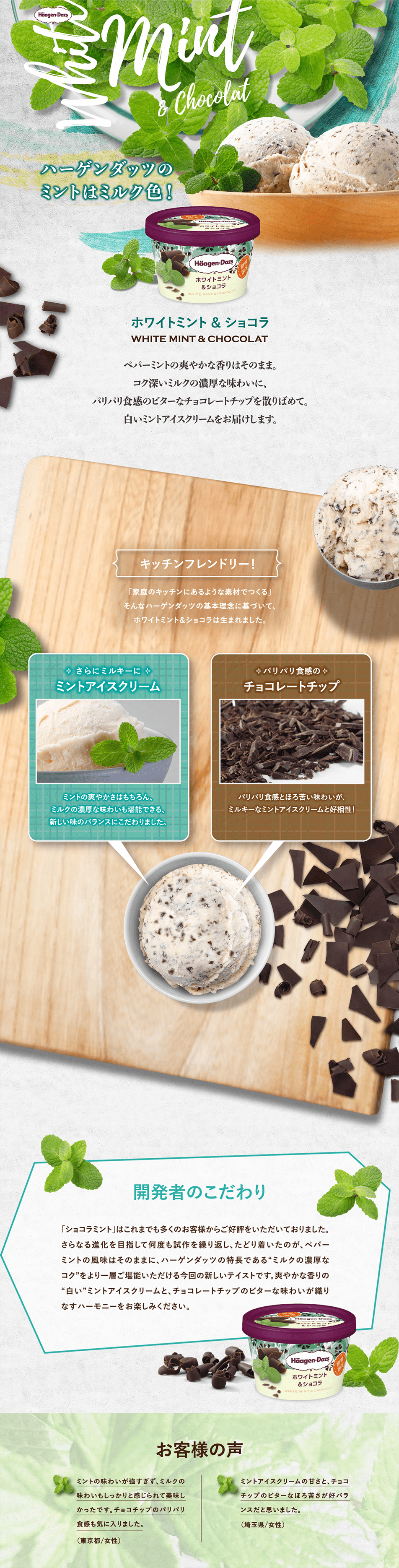 ホワイトミント＆ショコラのLPデザイン（スイーツ・スナック菓子／グリーン系／爽やか系）PC版