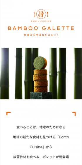 Bamboo GaletteのLPデザイン（スイーツ・スナック菓子／ホワイト系／シンプル系）スマホ版