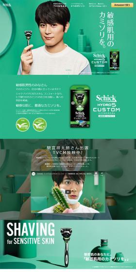 SchickHYDRO5CUSTOM LP design (goods / Green tones / Simple) PC version