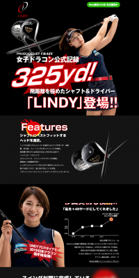 LINDY Driver LP design (sports / Black-colored / Cool style) PC version