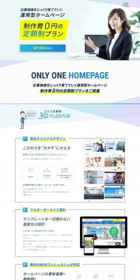 Cost-Effective Flat-Rate 30 Plan LP design (Internet service / Shades of blue / Trust and Safety) PC version