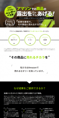 Amazon Vendor Central Support Service LP design (Internet service / Green tones / Trust and Safety) PC version