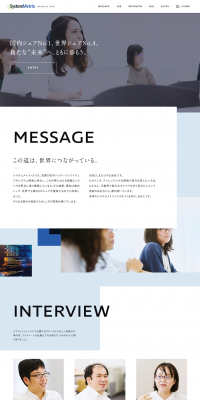 SystemMetrics Recruitment Site LP design (Recruitment and Hiring / Shades of blue / Simple) PC version