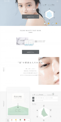 Free skin analysis LP design (Internet service / Shades of grey / Simple) PC version