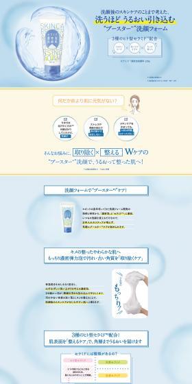 Ceramide Rich Foam Facial Cleanser LP design (Beauty, Skincare, Fragrance / Shades of blue / Refined style) PC version