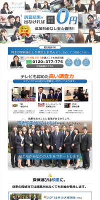 Detective Agency LP design (Businesses, companies, stores / Shades of blue / Trust and Safety) PC version