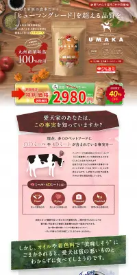 UMAKAのLPデザイン（ペット・花・DIY工具／カラフル系／健康・癒し系）PC版