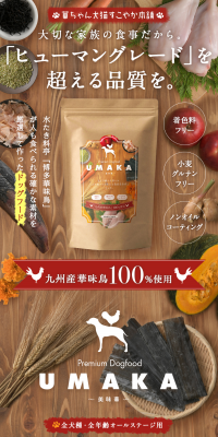 UMAKAのLPデザイン（ペット・花・DIY工具／カラフル系／健康・癒し系）スマホ版