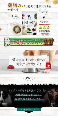 Yawaka LP design (Pets, Flowers, DIY Tools / Brown tones / Health and Wellness) PC version