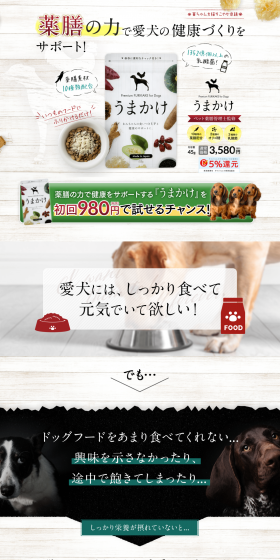 Yawaka LP design (Pets, Flowers, DIY Tools / Brown tones / Health and Wellness) PC version