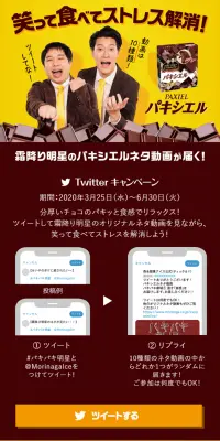 パキシエルのLPデザイン（サービス・保険・金融／イエロー系／シンプル系）スマホ版