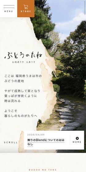 ぶどうのたねのLPデザイン（サービス・保険・金融／ベージュ系／和風系）スマホ版
