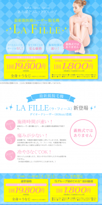 Laser Hair Removal Machine La Fille LP design (Beauty services / Shades of blue / Clean-cut) PC version
