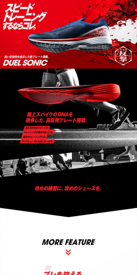 DUEL SONIC LP design (sports / Red tones / Cool style) PC version