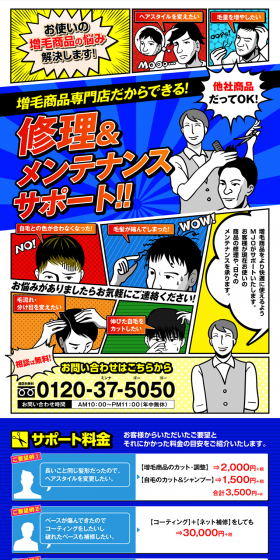 Repair, Maintenance, Support LP design (Beauty services / Shades of blue / Lively type) PC version