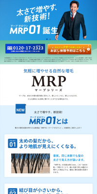 MRP 01 LP design (Beauty services / Shades of blue / Trust and Safety) PC version
