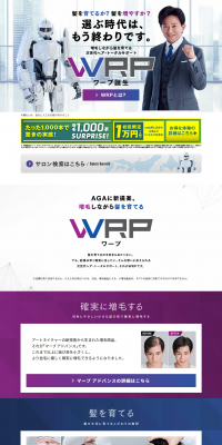 WRP LP design (Beauty services / Purples / Trust and Safety) PC version