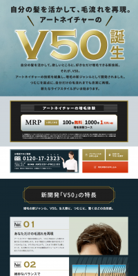 V50 LP design (Beauty services / Gold tones / Trust and Safety) PC version