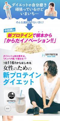 Soy Protein Weight Loss LP design (Health and Beauty Foods and Supplements / Shades of blue / Simple) PC version