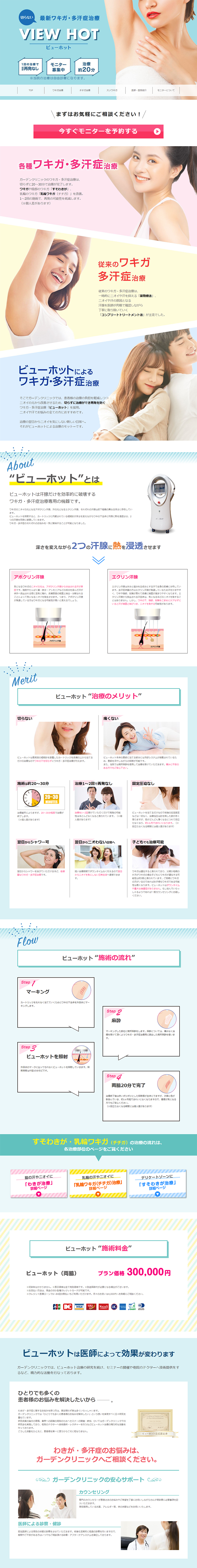 ViewHot LP design (Beauty services / Shades of blue / Clean-cut) PC version
