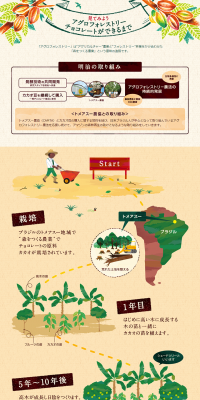 The Making of Agroforestry Chocolate LP design (Internet service / Beige tones / Organic) PC version