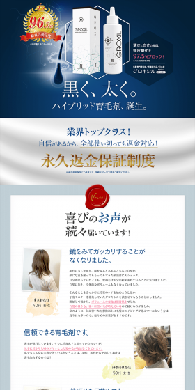 GROXIL LP design (Beauty, Skincare, Fragrance / Shades of blue / Trust and Safety) PC version
