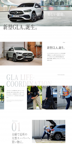 New GLA LP design (Cars, Motorcycles, Bicycles / White-based / Simple) PC version