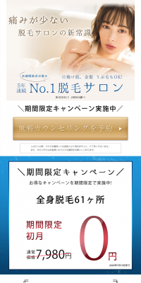 Full body laser hair removal LP design (Beauty services / Shades of blue / Simple) PC version