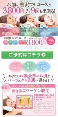 お顔全部贅沢フルコース合計9回のLPデザイン（美容サービス／カラフル系／清潔系）PC版